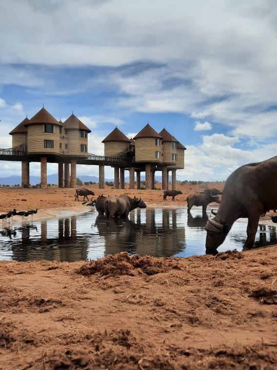 Sport & Freizeit Taita Hills Safari Resort & Spa