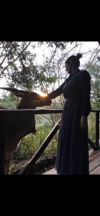 Gartenanlage Aruba-Mara Camp