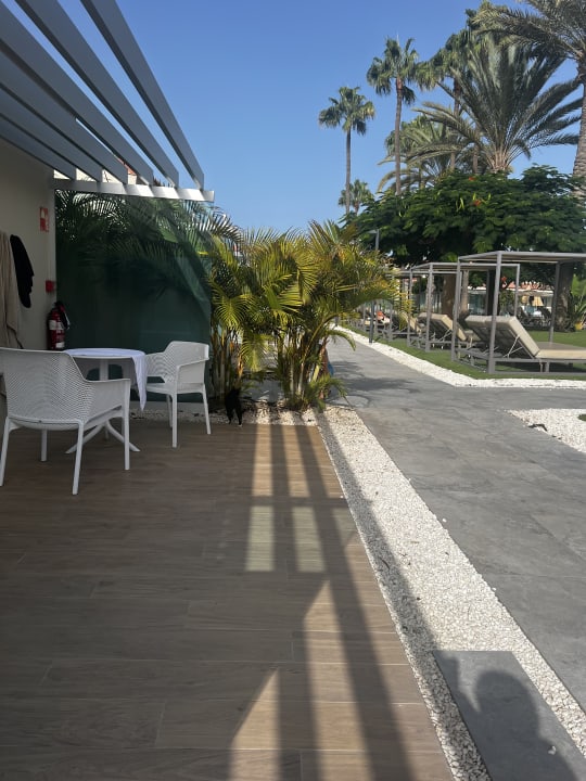 Zimmer Kumara Serenoa by Lopesan Hotels
