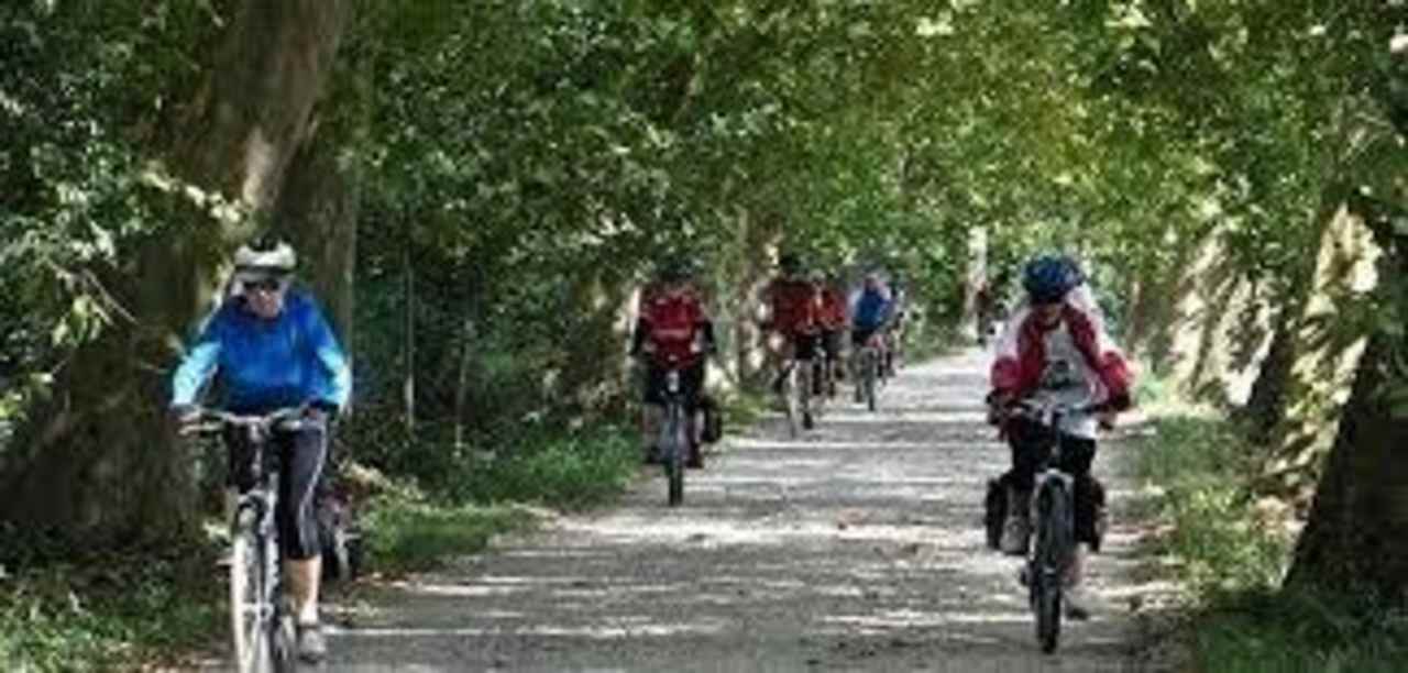 Bicycling at the forest near hotel B&B Road to the Forest