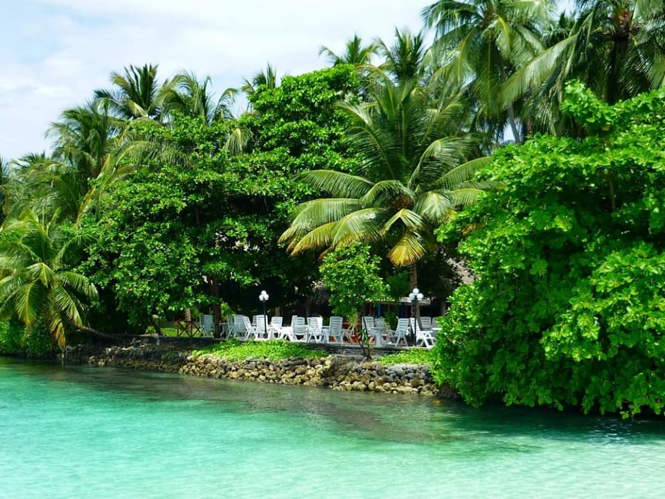 Bar Fihalhohi Maldives