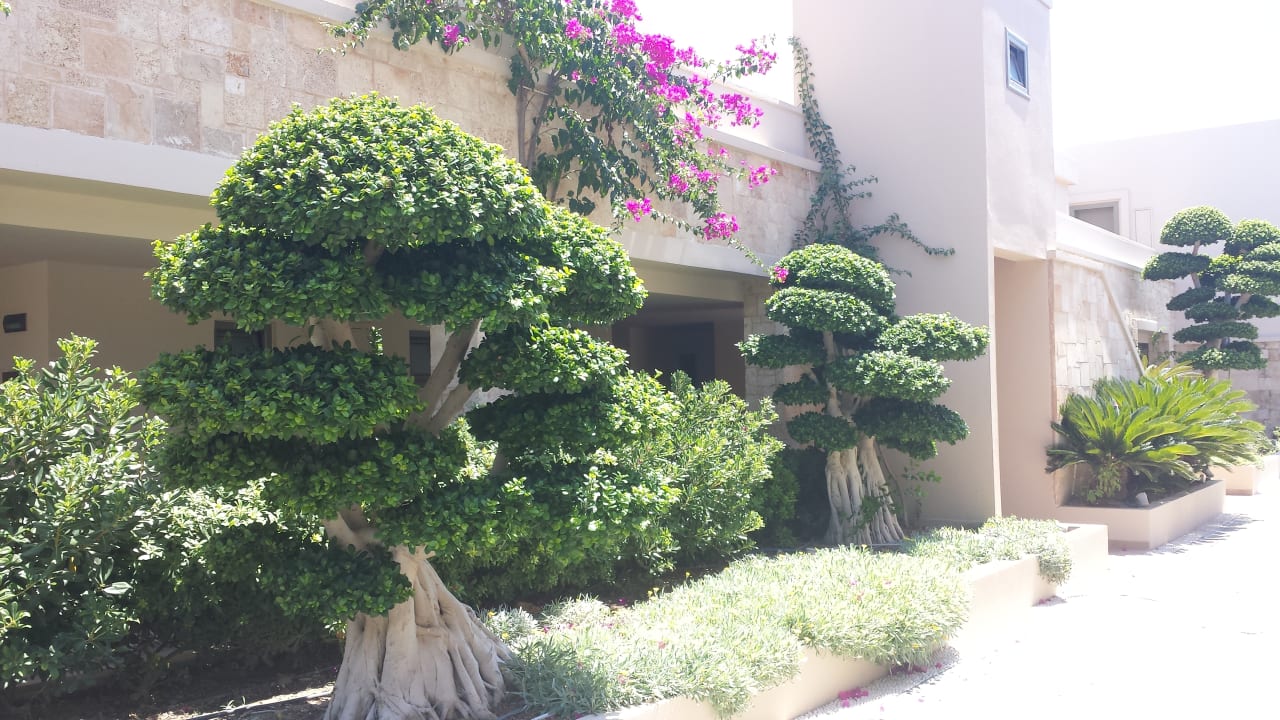 Gartenanlage Aquagrand Artistic Luxury Beach Resort - Adults only