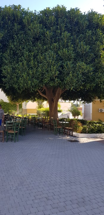 Außenansicht Mitsis Rodos Village