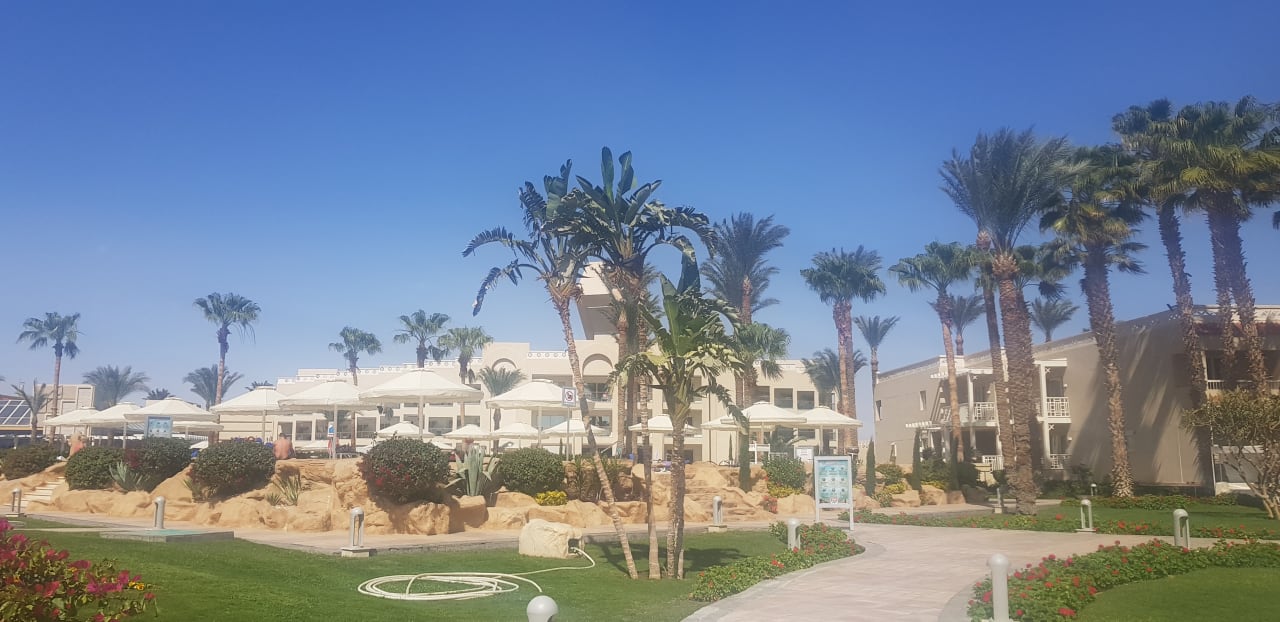 Gartenanlage Beach Albatros Resort
