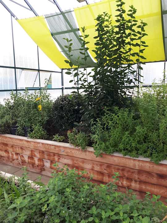 Gartenanlage Wilfinger Ring Bio Hotel