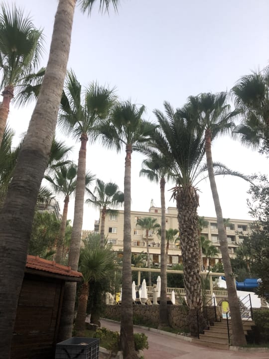 Gartenanlage Oscar Resort Hotel