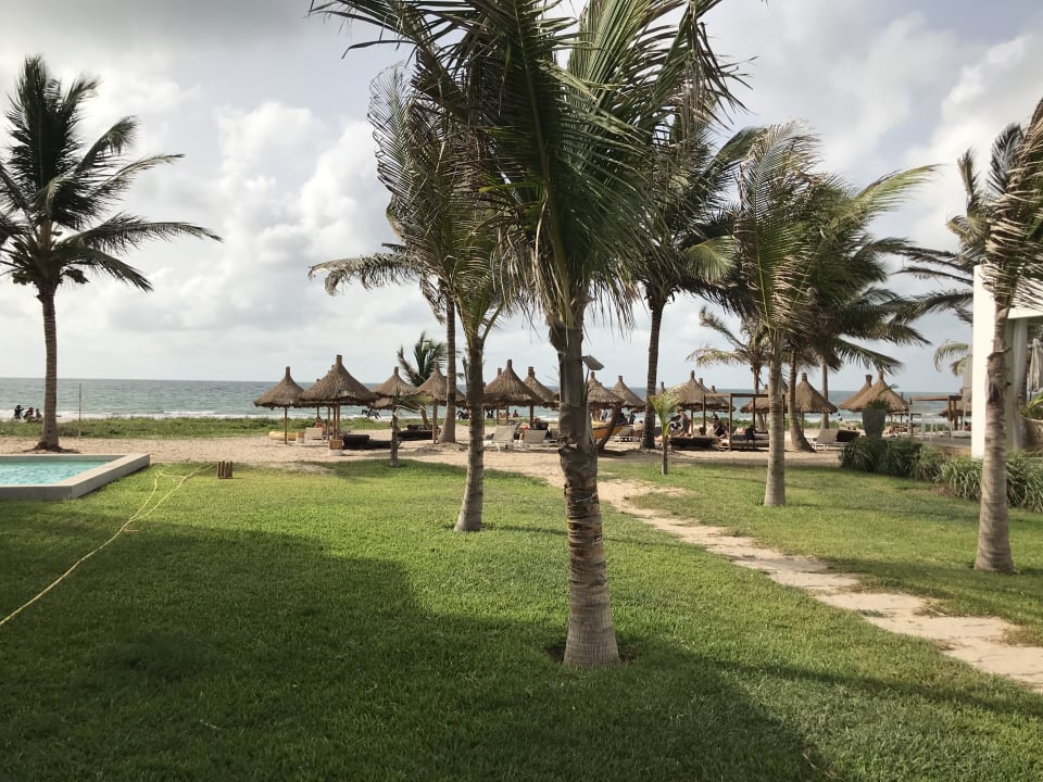 Strand TUI BLUE Tamala