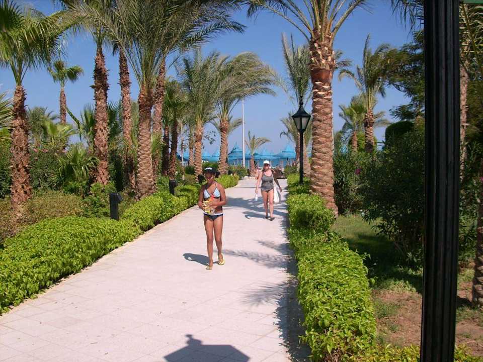 Gartenanlage The Grand Hotel Hurghada