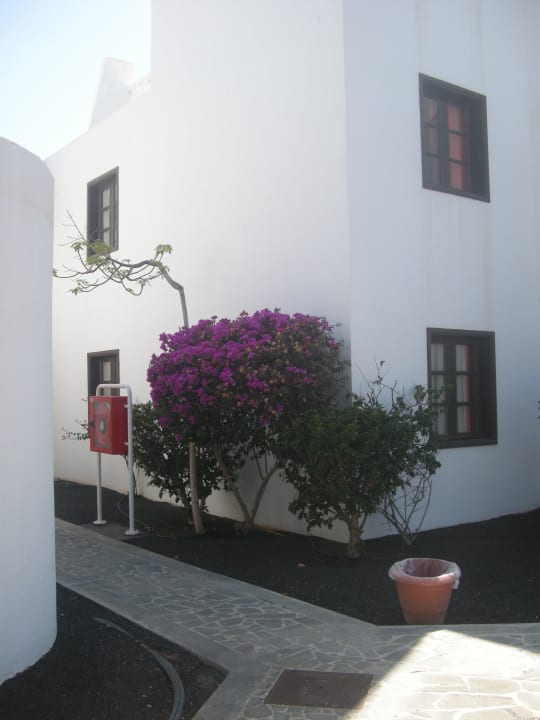 Die Anlage allsun App.-Hotel Albatros