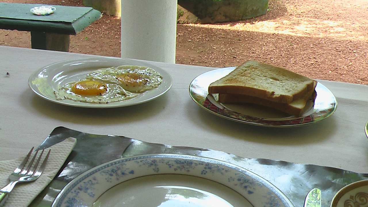 Gastro Sunshine Guesthouse