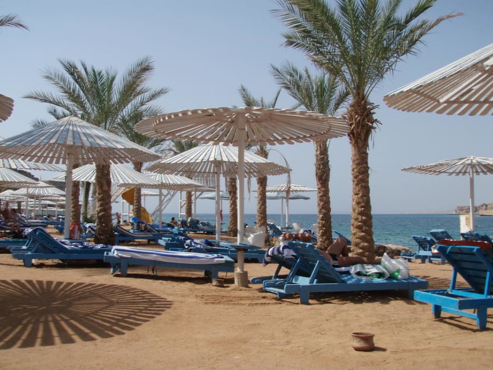 Strand Albatros Sharm Resort