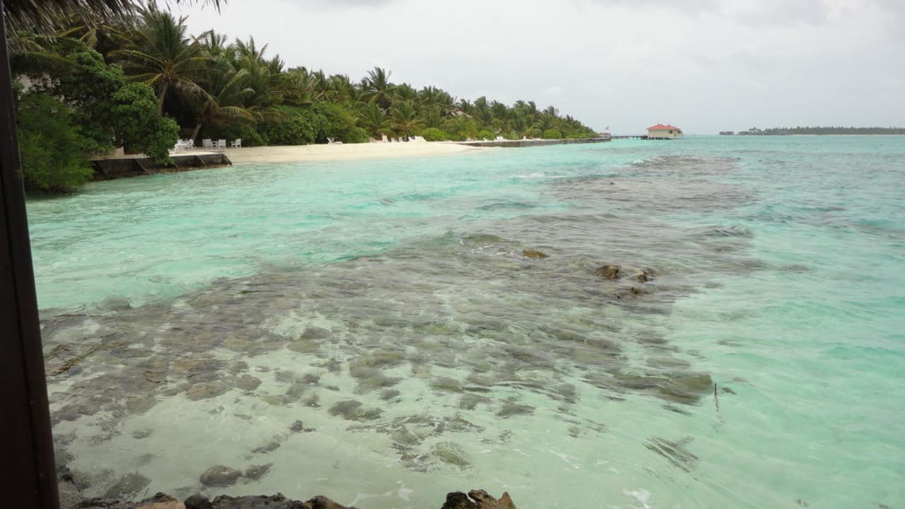 Strand Summer Island Maldives