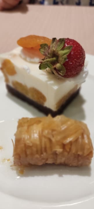 Gastro Dizalya Palm Garden