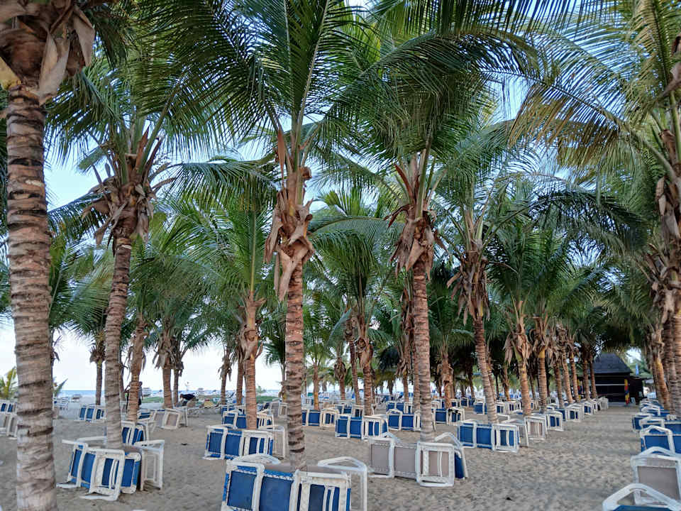 Gartenanlage Hotel Riu Cabo Verde