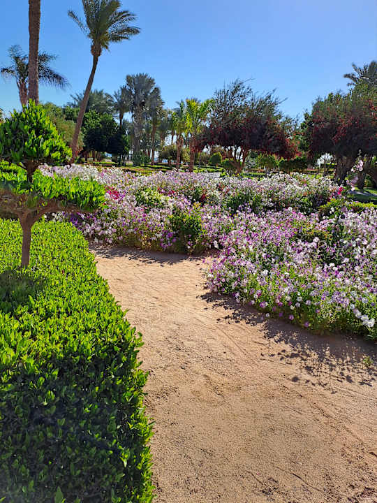 Gartenanlage Steigenberger ALDAU Beach Hotel