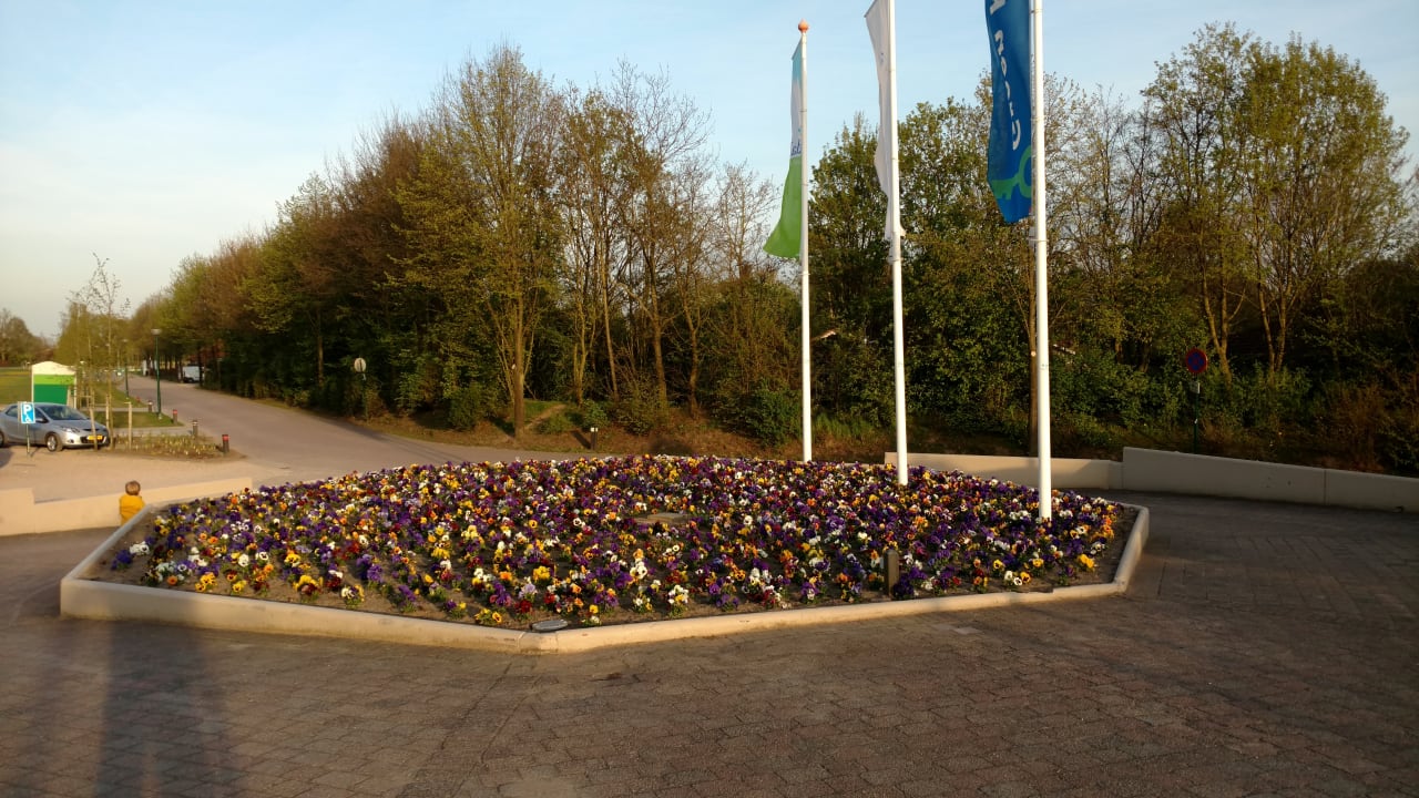 Gartenanlage Ferienpark Landal Stroombroek