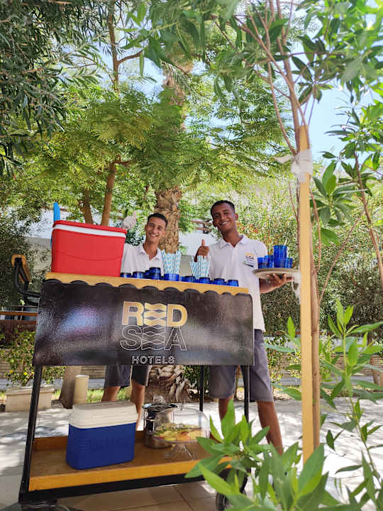 Zimmer The Grand Palace - Adults only