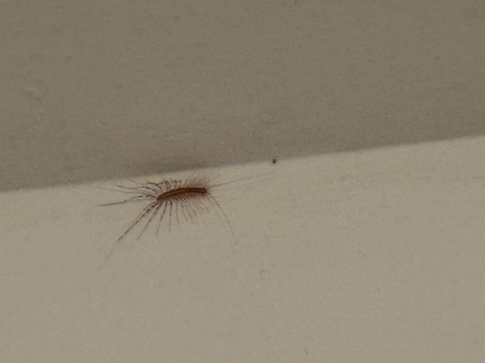 Zimmer Adriatiq Resort Fontana