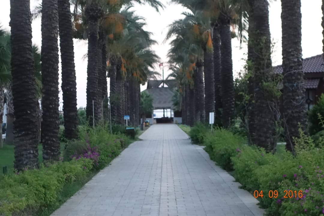 Weg zum Meer Calimera Serra Palace