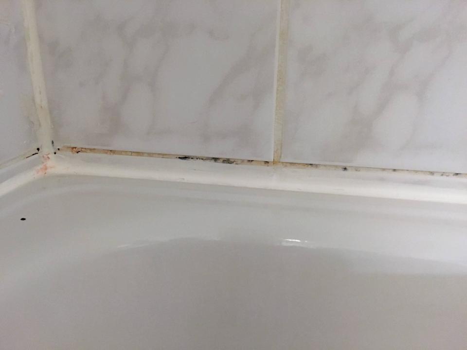 Schimmel Dusche H+ Hotel Darmstadt