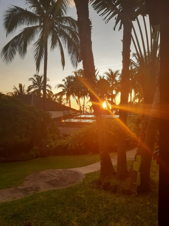 Ausblick Iloha Seaview Hotel