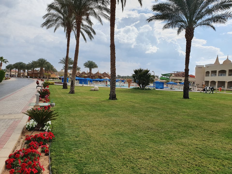 Gartenanlage Pickalbatros Aqua Blu Resort - Sharm El Sheikh