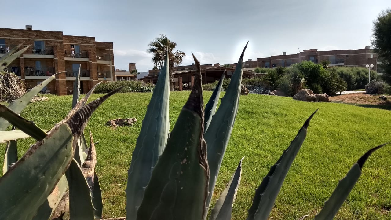 Gartenanlage Bella Beach Hotel