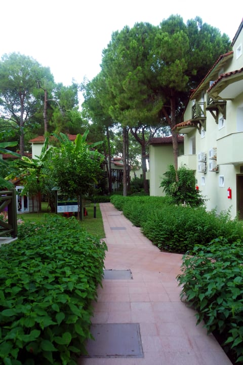 Crystal Flora Beach Crystal Flora Beach Resort