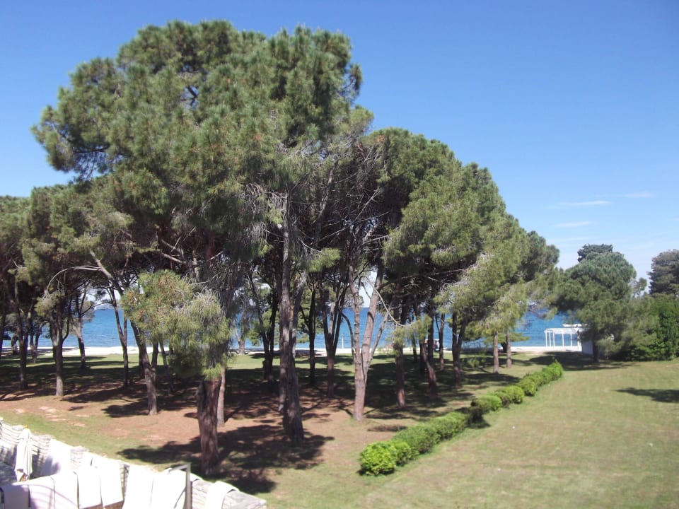 Ausblick vom Balkon Falkensteiner Hotel Adriana