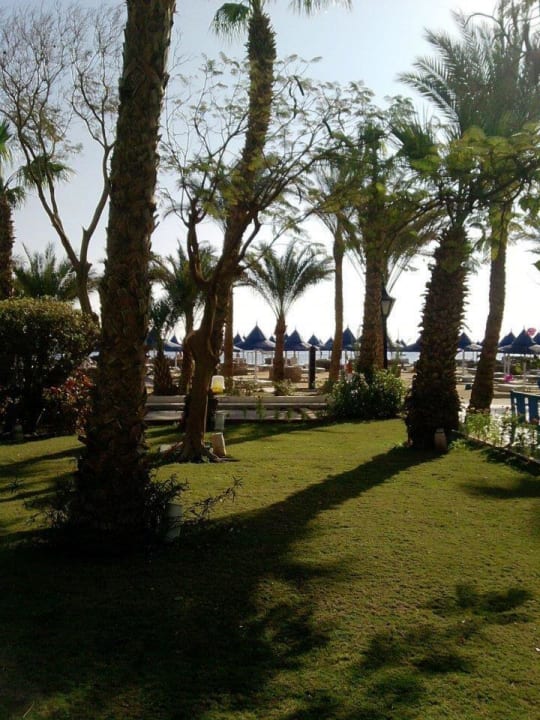 Garten The Grand Hotel Hurghada
