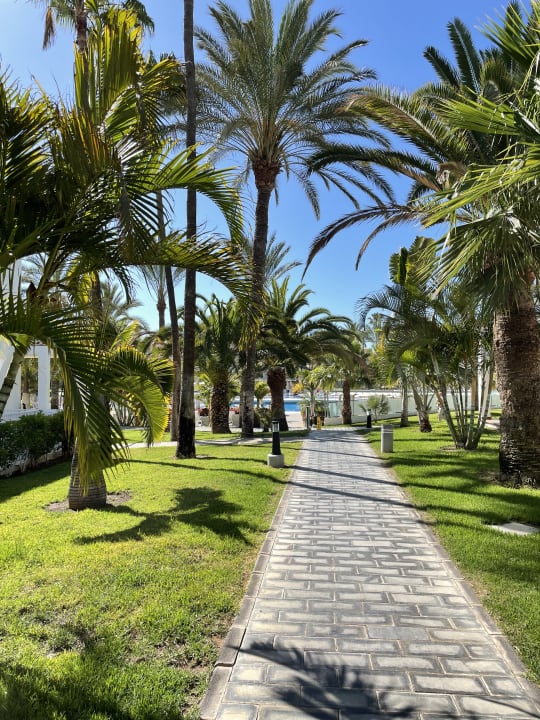 Gartenanlage Hotel Riu Palace Meloneras