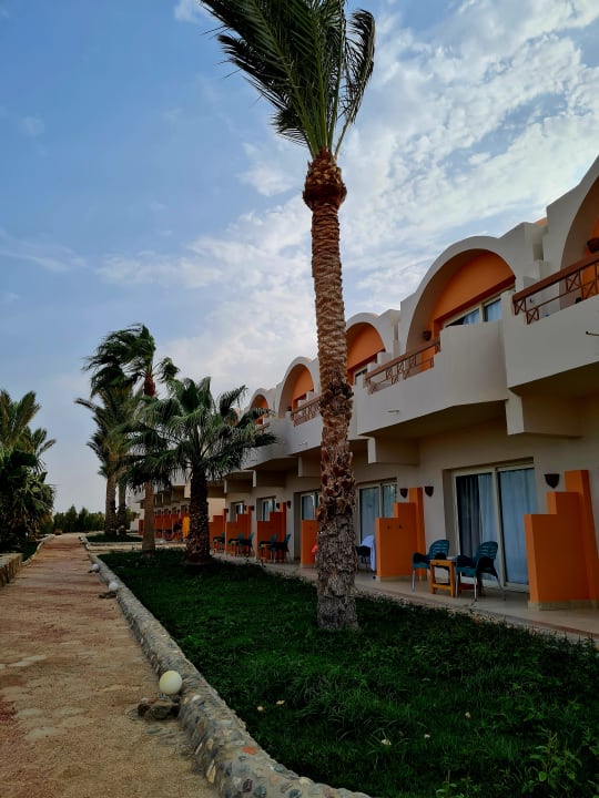 Sonstiges Three Corners Sea Beach Resort