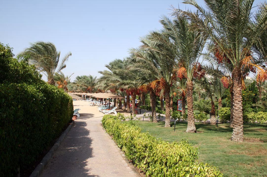 Strandpromenade Fort Arabesque Resort, Spa & Villas