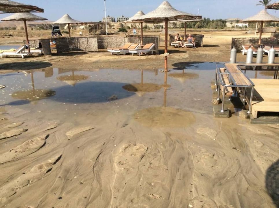 Hotelstrand Three Corners Equinox Beach Resort