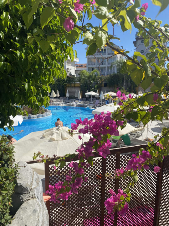 Pool Arnor de Luxe Hotel & Spa