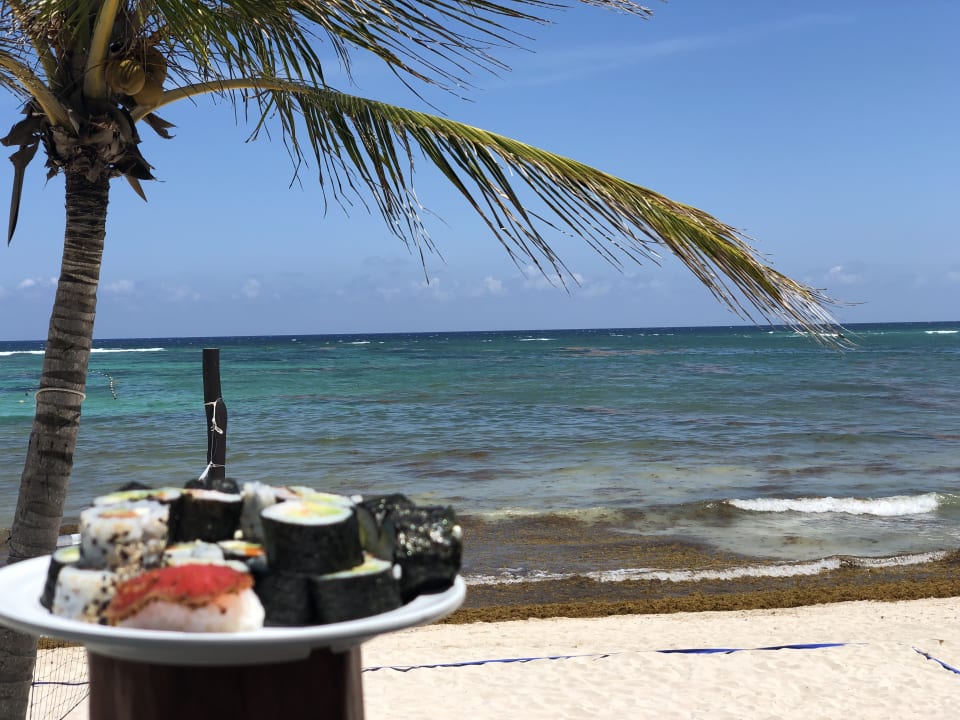 Gastro Akumal Bay Beach & Wellness Resort