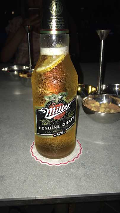 Gastro Acanthus Cennet Barut Collection