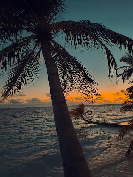 Ausblick Vilamendhoo Island Resort & Spa