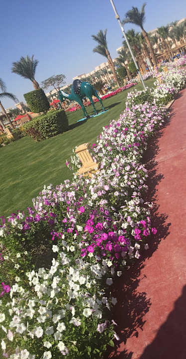 Gartenanlage Pickalbatros Palace Resort