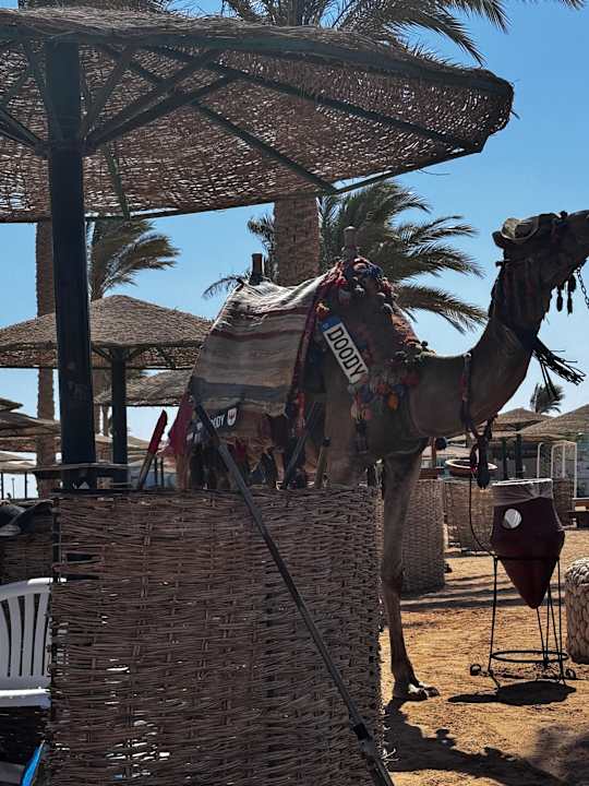 Strand Golden Beach Resort