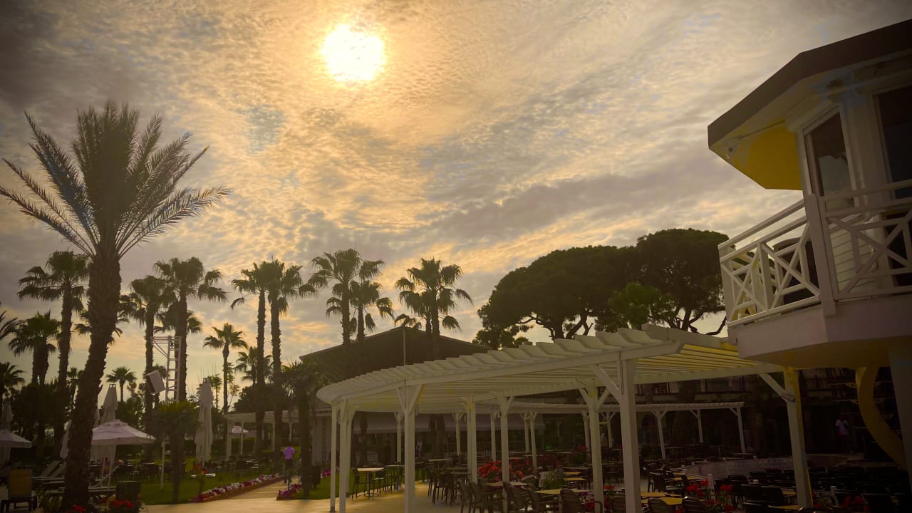 Gastro Papillon Belvil