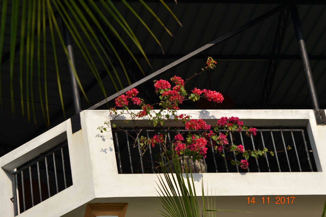 Außenansicht Hotel Bentota Village