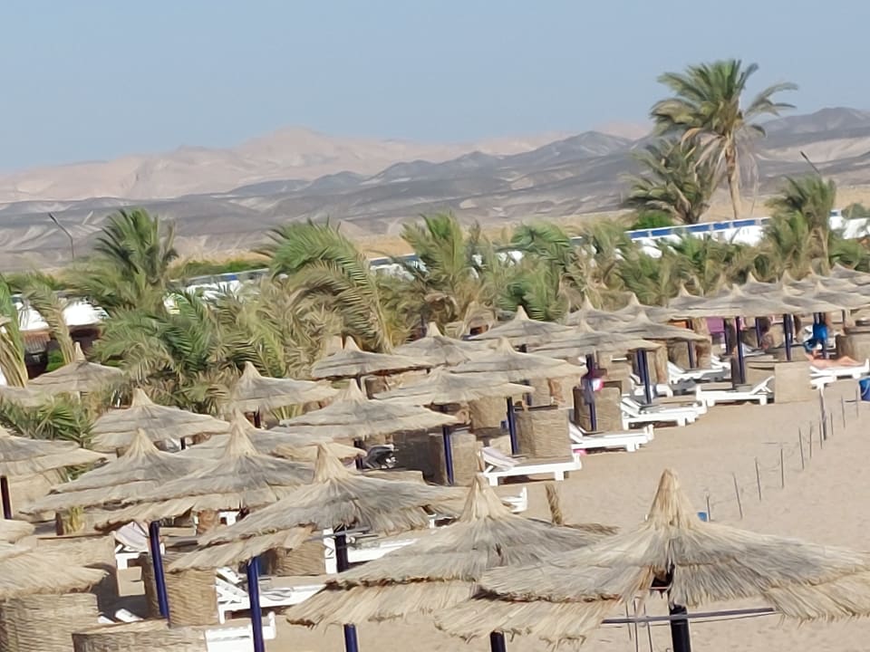 Strand Coral Sun Beach