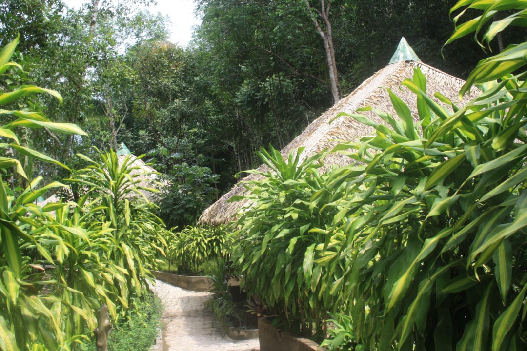 Village Lodge -Anlage Amazon Village Lodge