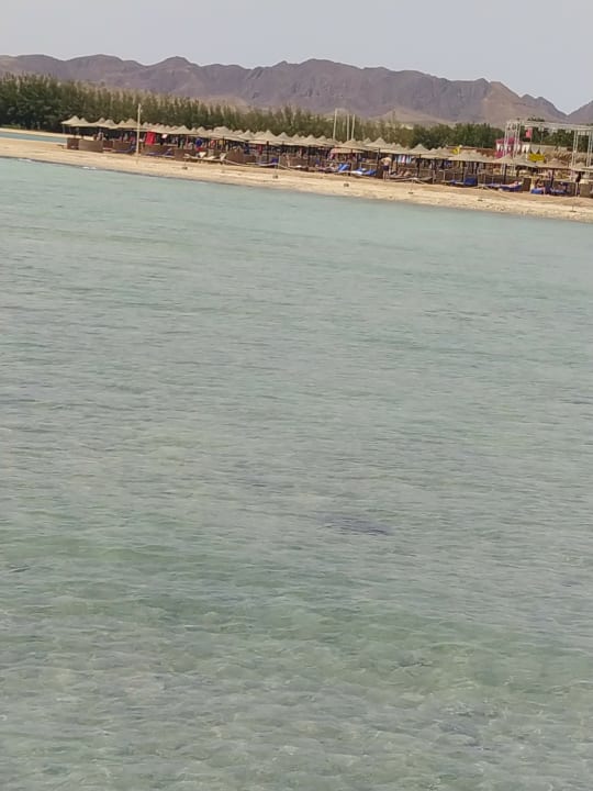 Strand TUI MAGIC LIFE Kalawy