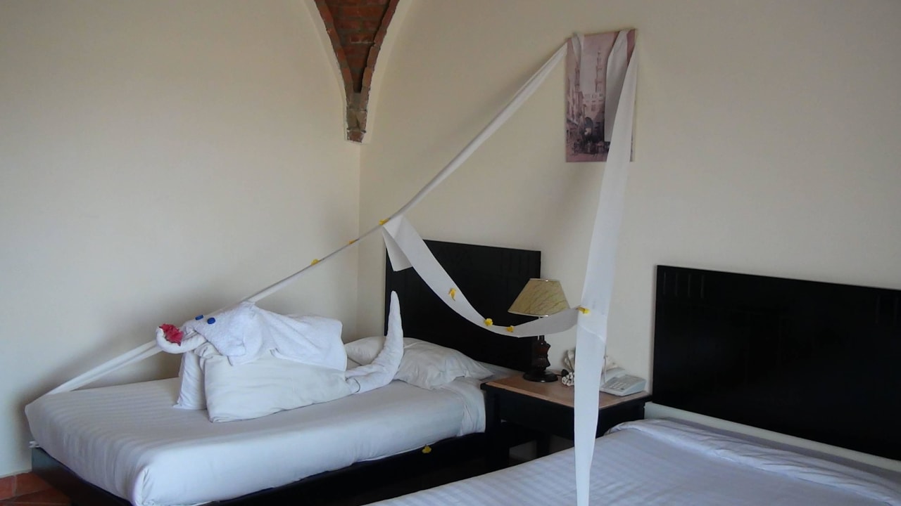 Słoń Three Corners Sea Beach Resort