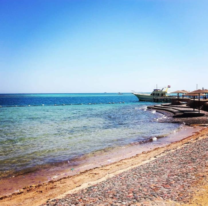 Strand Sea Star Beau Rivage