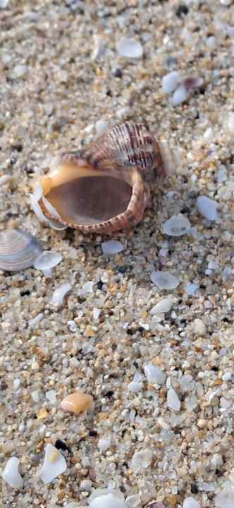 Strand Maritim Hotel Paradise Blue Albena