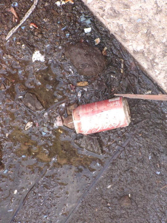 Müll unter Blueswing Avila Beach Hotel