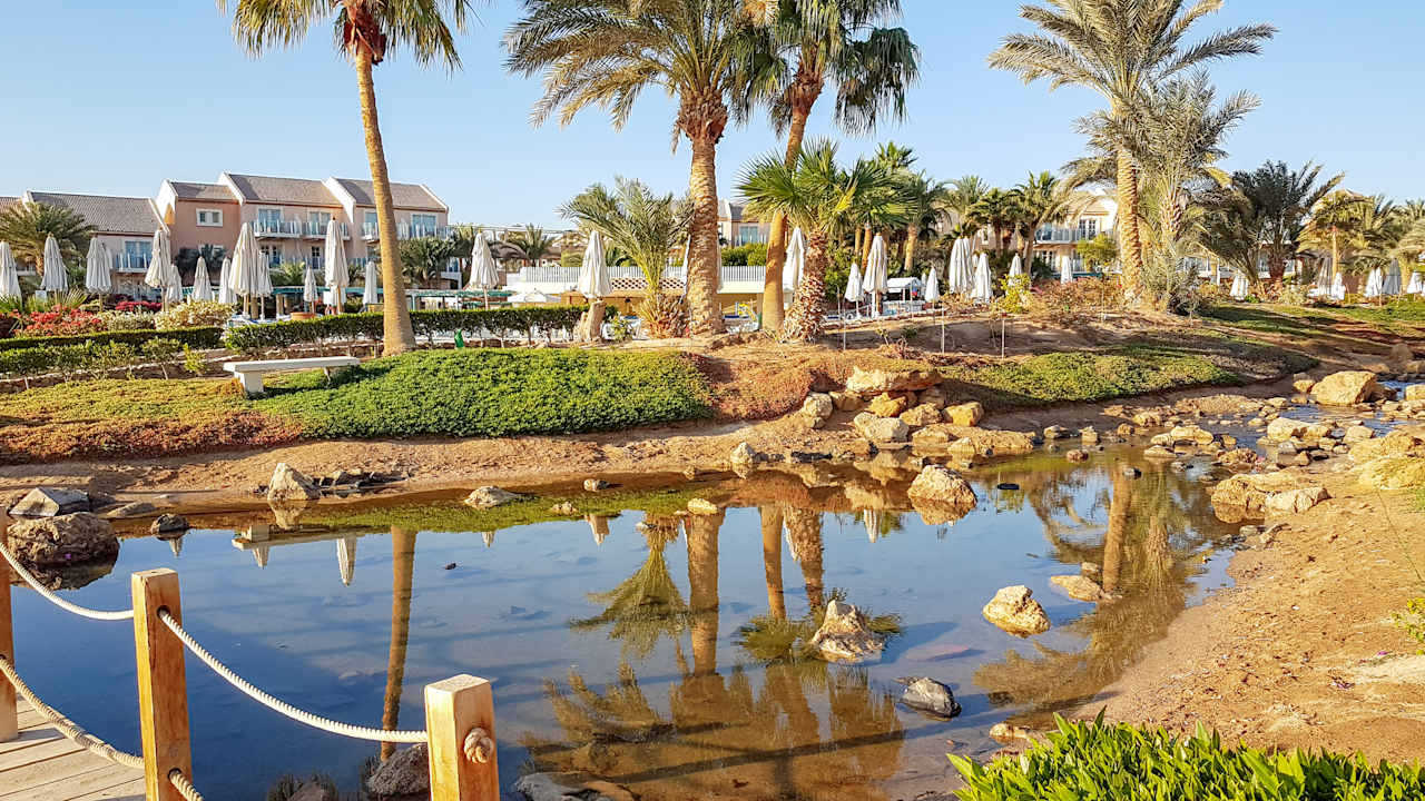 Gartenanlage Mövenpick Resort & Spa El Gouna